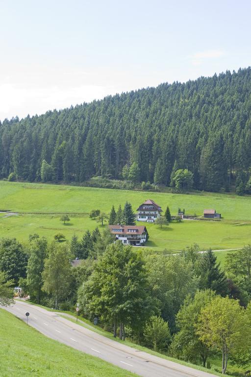 Terra Nova Otel Baiersbronn Dış mekan fotoğraf