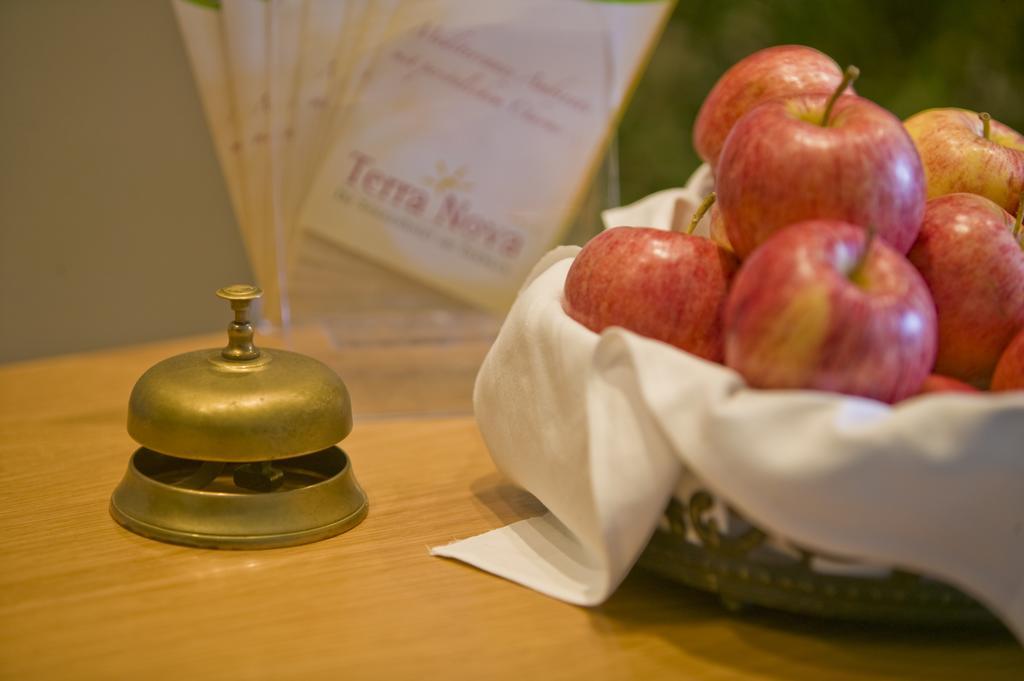 Terra Nova Otel Baiersbronn Dış mekan fotoğraf