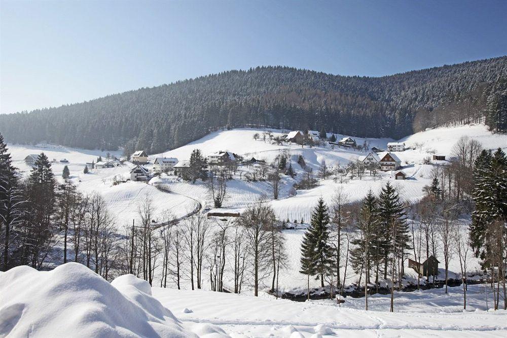 Terra Nova Otel Baiersbronn Dış mekan fotoğraf