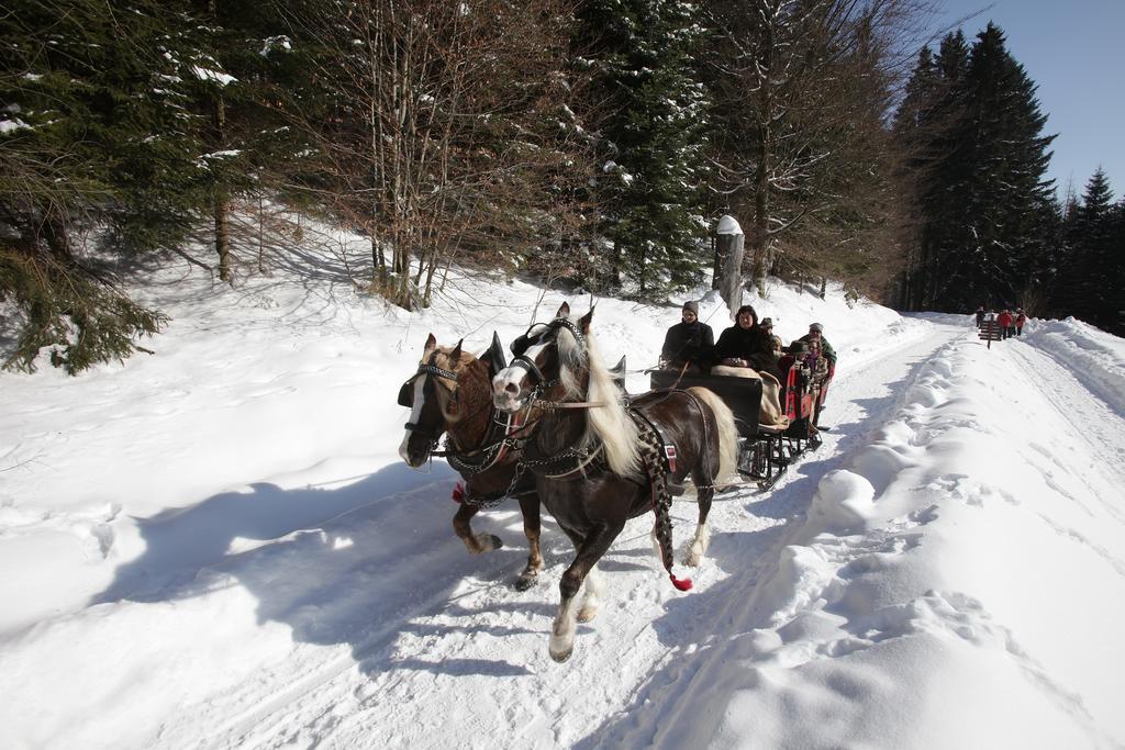 Terra Nova Otel Baiersbronn Dış mekan fotoğraf