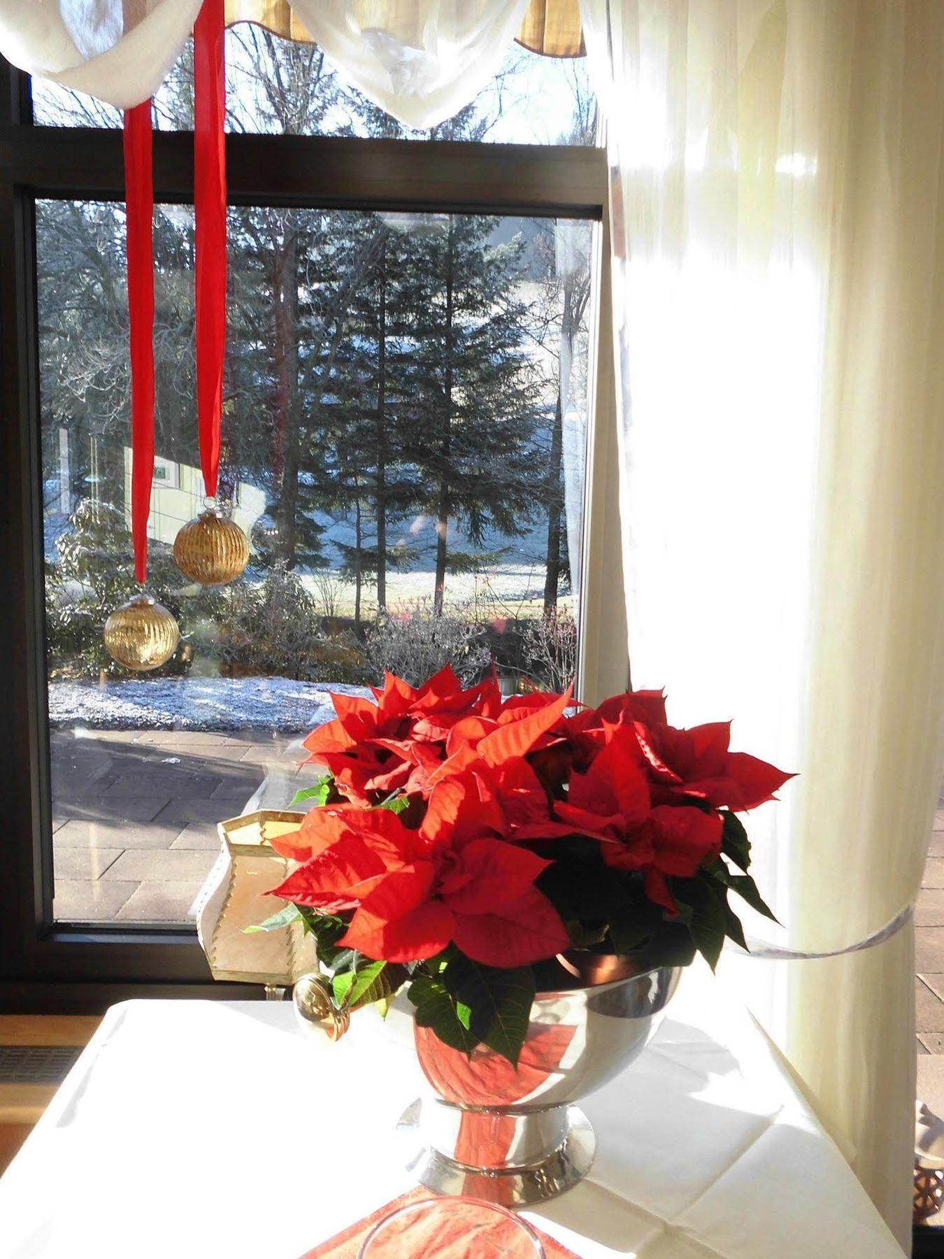 Terra Nova Otel Baiersbronn Dış mekan fotoğraf