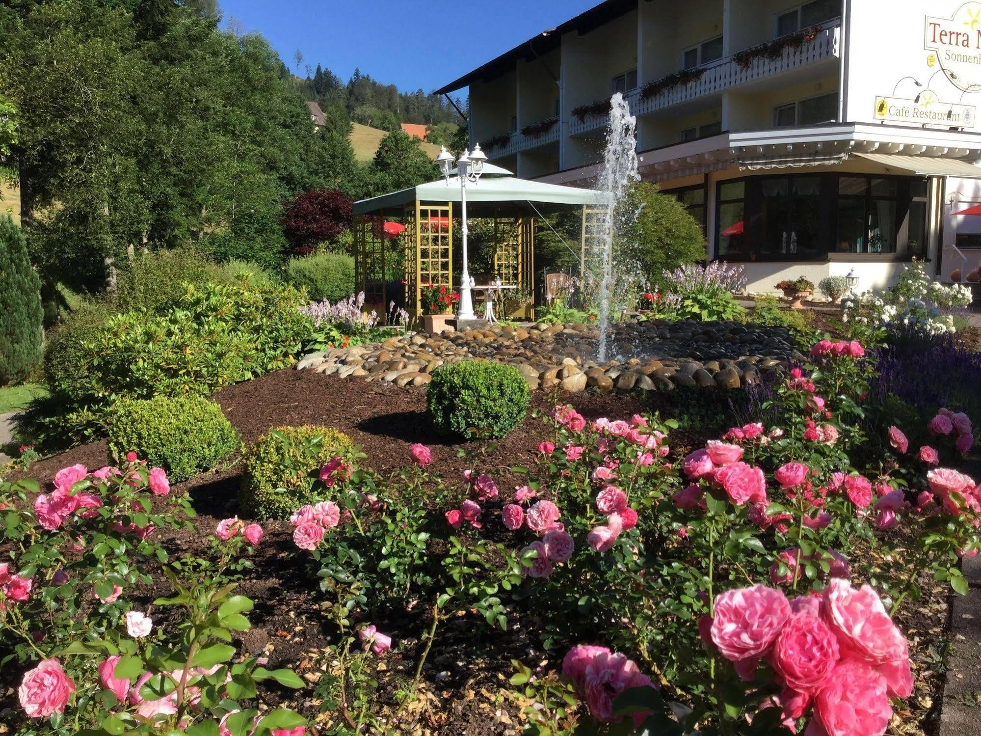 Terra Nova Otel Baiersbronn Dış mekan fotoğraf